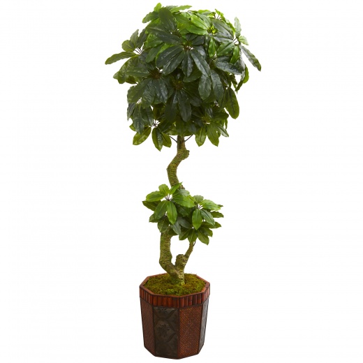 6’ Schefflera Artificial Tree In Bamboo Planter