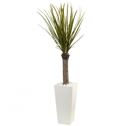 4’ Yucca Tree In White Tower Planter