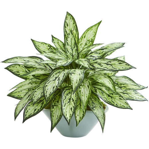 Silver Queen Artificial Plant In Green Vase