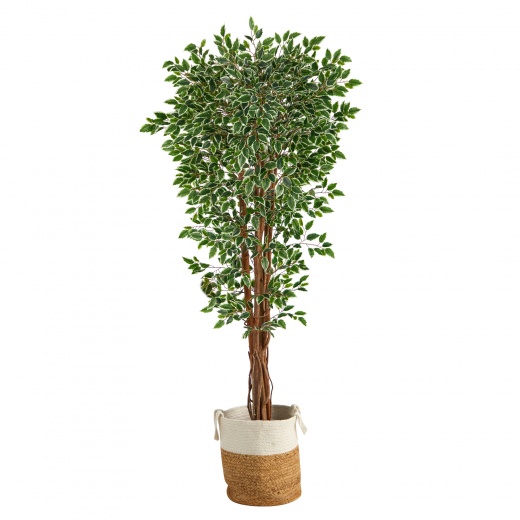70” Variegated Ficus Tree In Handmade Jute And Cotton Planter Uv Resistant (Indoor/Outdoor)