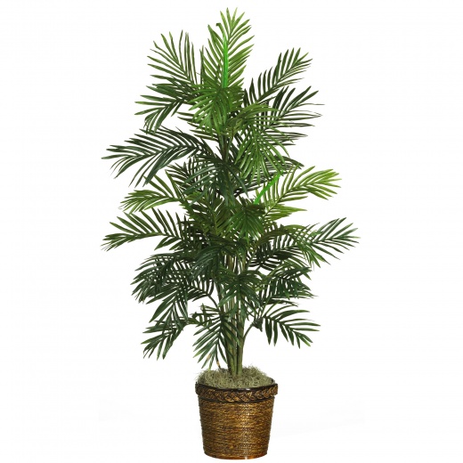 56" Areca Palm Silk Tree with Basket