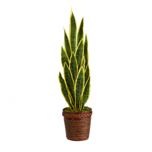 34” Sansevieria Artificial Plant In Basket