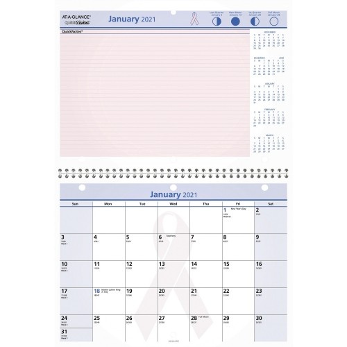 At-A-Glance Quicknotes Special Edition Monthly Wall Calendar