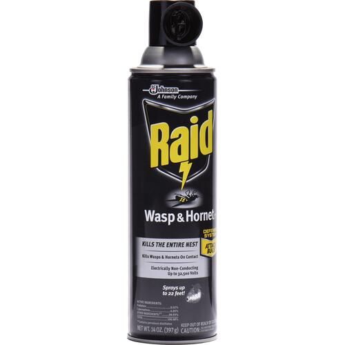 Raid Wasp/Hornet Killer Spray