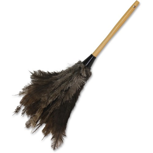 Impact Products Economy Ostrich Feather Duster