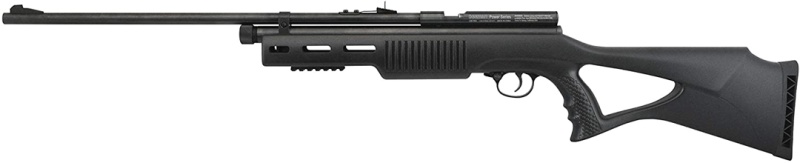Beeman Co2 Rifle With Synthetic Stock