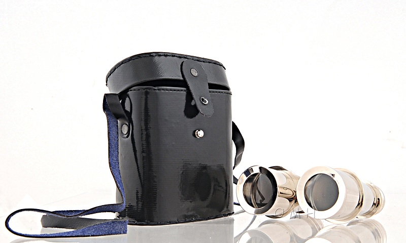Brass Binocular W Leather Case