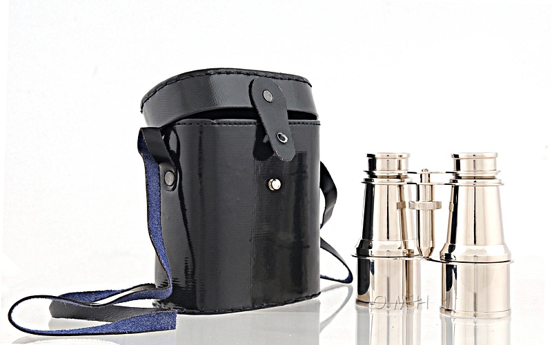 Brass Binocular W Leather Case