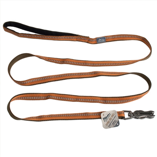 Coastal Products K9 Explorer Reflective Dog Leash With Scissor Snap ...