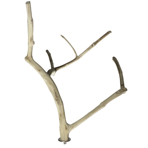 A And E Cages Java Wood Multi Branch Bird Perch Md