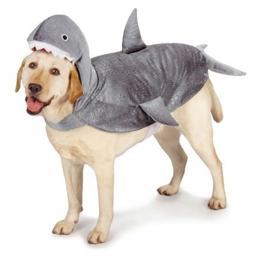 Casual Canine Shark Costumes