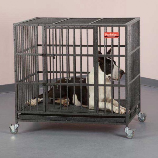 Proselect Empire Dog Cages