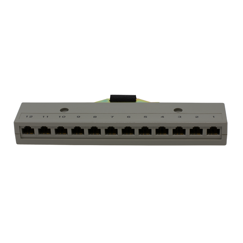 12 Port 2 Pair Rj-45 Harmonica With Female Amp Connector