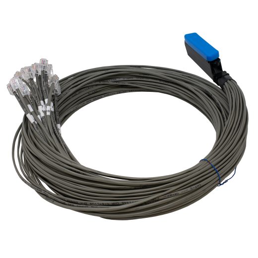 Qwik 6' 25X2 Octopus Cable With Male Amp