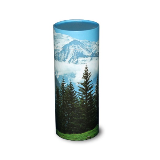 Passages Scattering Tube, Mountain View