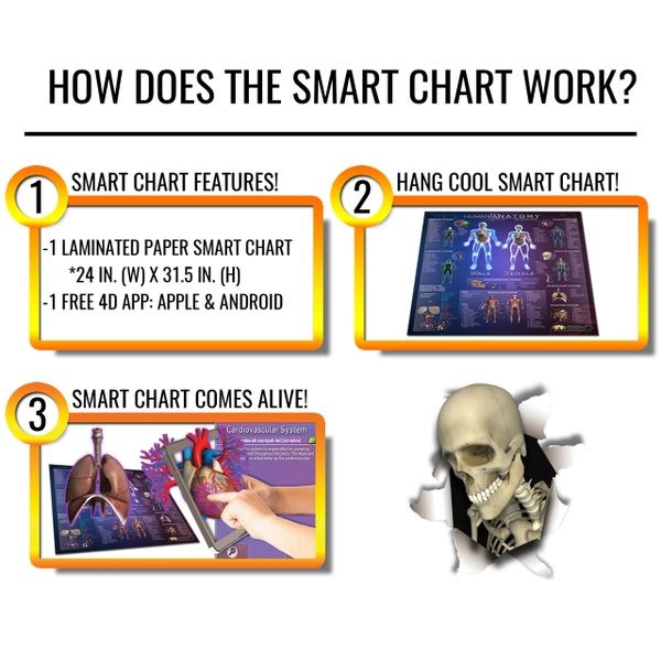 Popar Human Anatomy 4D Smart Chart & App-Small