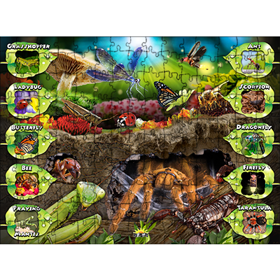 Popar Insects 4D Smart Puzzle & App-150 Pcs