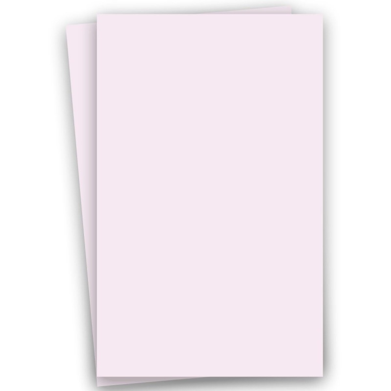 [Clearance] BASIS COLORS - 8.5 x 11 CARDSTOCK PAPER - Light Blue - 80LB  COVER - 100 PK