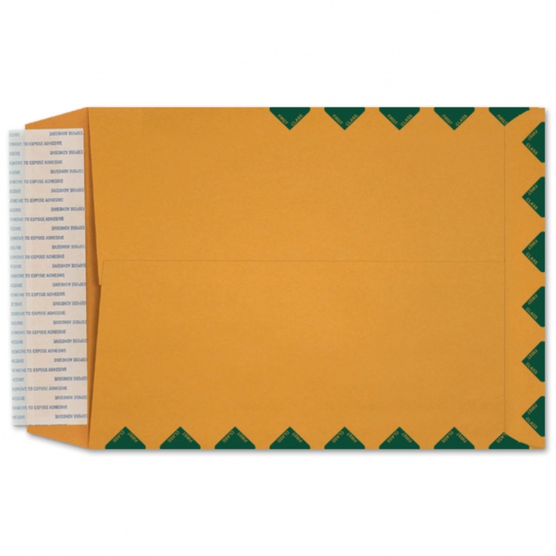 9 X 12 Catalog Envelopes (Peel To Seal) - 28Lb Brown Kraft With First Class Border - 500 Pk