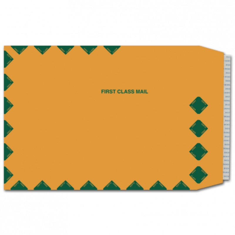 9 X 12 Catalog Envelopes (Peel To Seal) - 28Lb Brown Kraft With First Class Border - 500 Pk