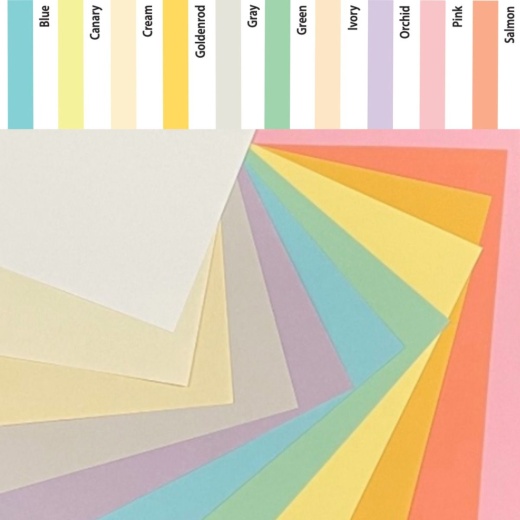 Lettermark Colors (Earthchoice) Salmon - 8.5 X 11 Card Stock Paper - 90Lb  Index - 250 Pk (81053) [94272]