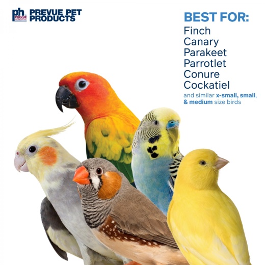 PREVUE PLAYFULS TUG OF WAR BIRD TOY PREVUE PLAYFULS TUG OF WAR BIRD TOY