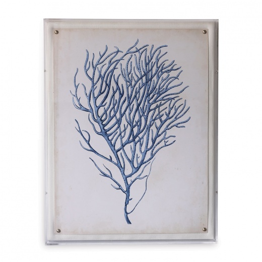 Coral I: A Masterpiece of Modern Design and Tropical Charm