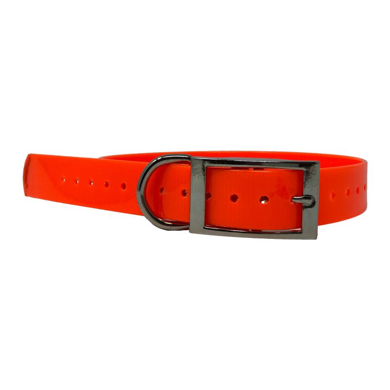 Replacement Collar Strap 1"