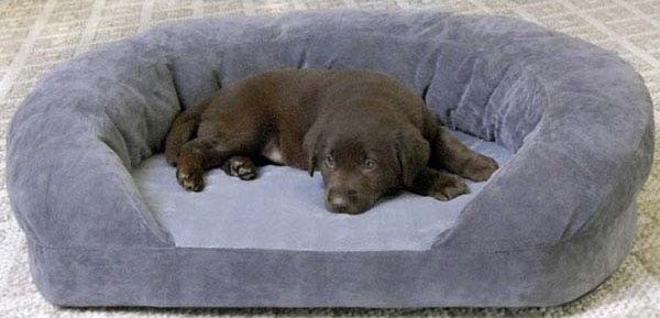 Ortho Bolster Sleeper Pet Bed