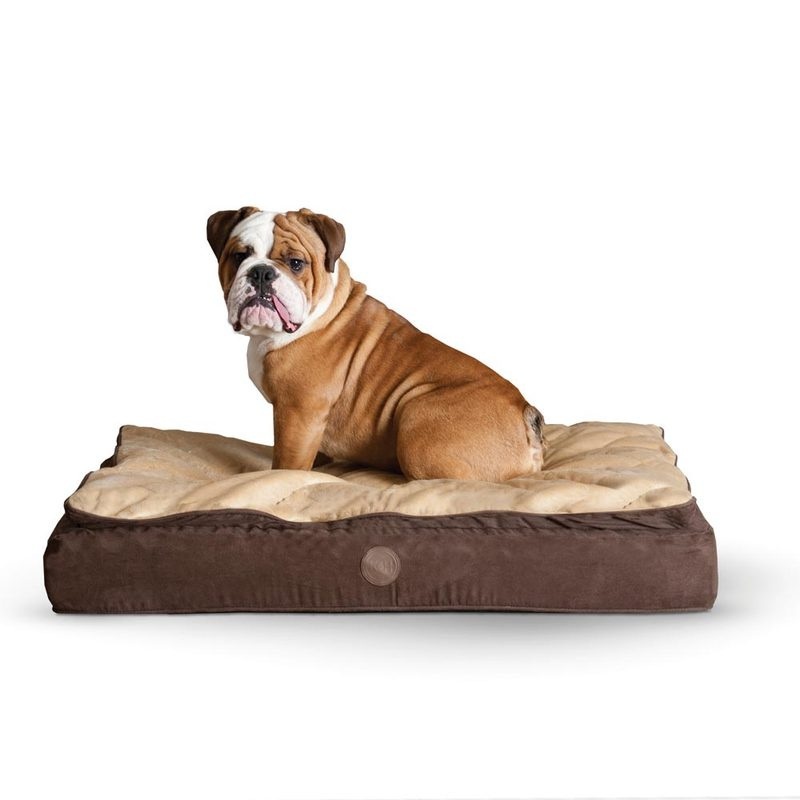 Feather Top Ortho Pet Bed
