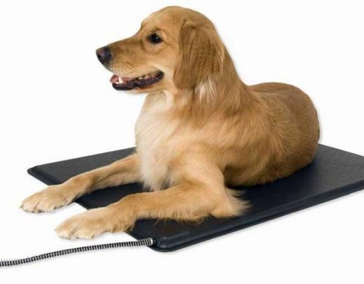 Lectro-Kennel Temp Control