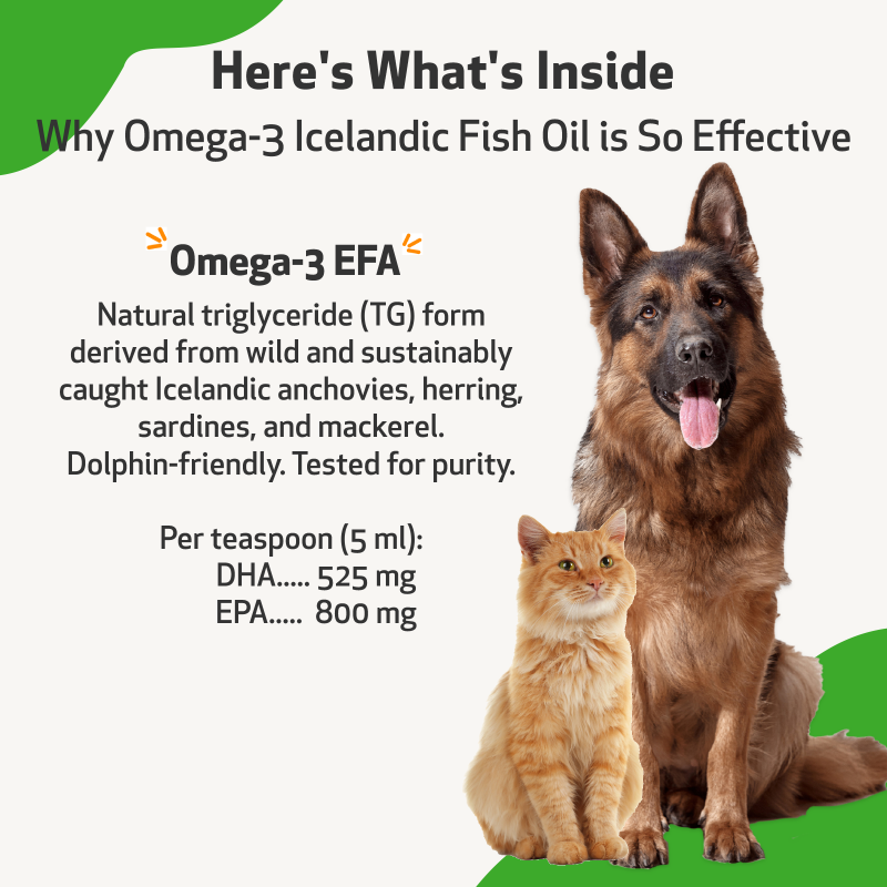 Omega-3 Daily Wellness - For Skin, Joint, Brain, And Heart Health