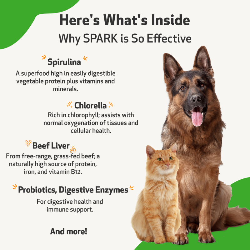 Spark - Daily Nutritional Greens Supplement