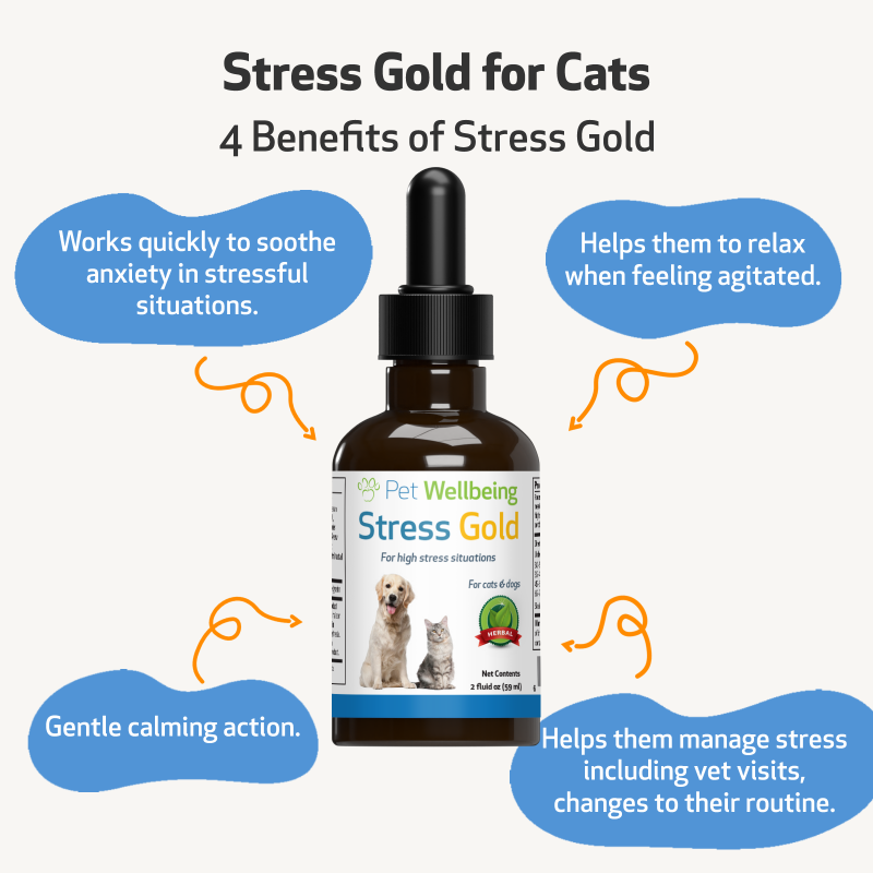 Stress Gold - For High Stress Situations In Cats