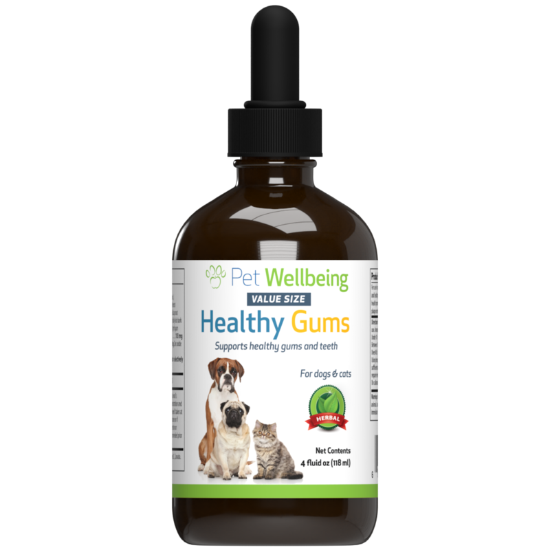 Healthy Gums - For Canine Periodontal Health