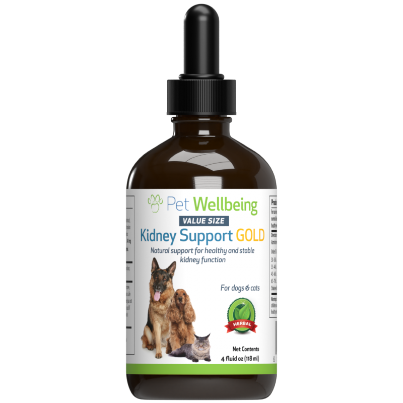 Kidney Support Gold - For Cat Kidney Function