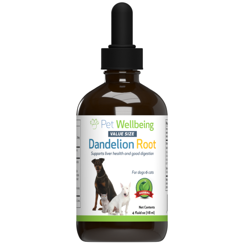 Dandelion Root - Digestive & Liver Support For Cats