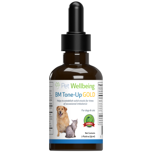 BM Tone-Up Gold for Loose Stools in Cats - Natural and Effective Solution