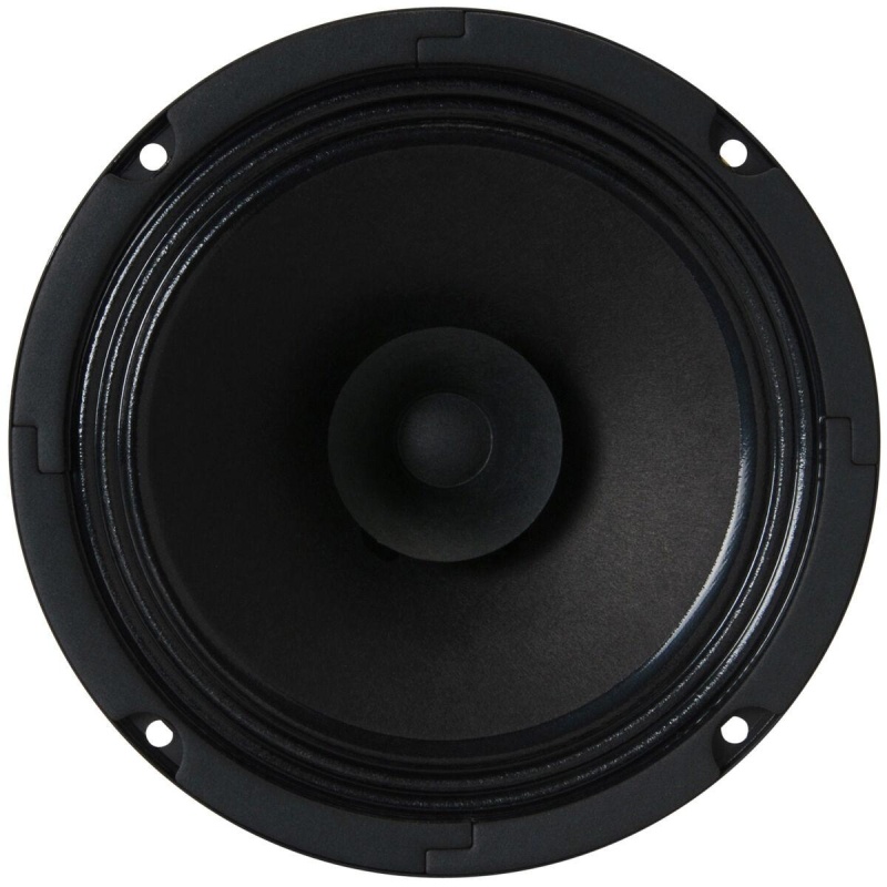 Visaton Bg17-8 6.5" Full-Range Speaker With Whizzer Cone 8 Ohm