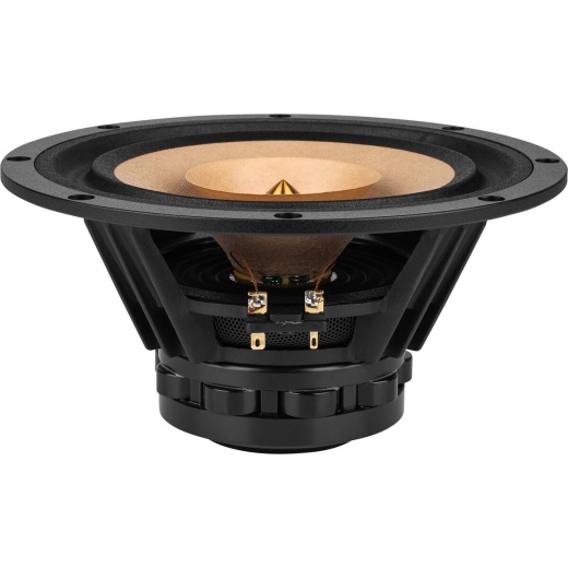 Tang Band W8-1772 8" Neodymium Full Range Driver