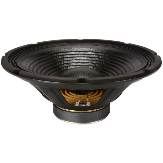 Goldwood GW-1238/PA 12" PA / Musical Instrument Speaker