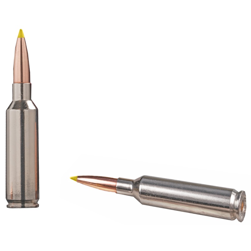 Winchester Ammunition, Ballistic Silvertip, 6.8 Western, 170Gr