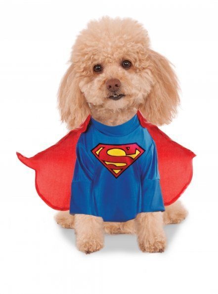 Classic With Arms Pet Superman Costume Small