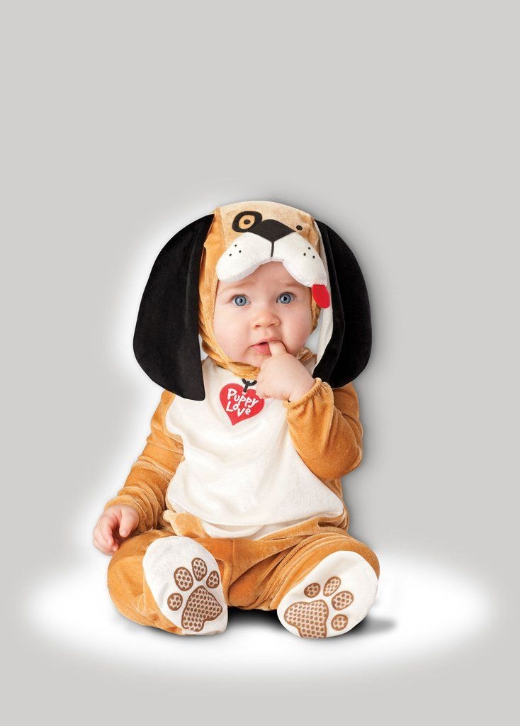 In Character Infant Puppy Love Customes Large (18-24) Months