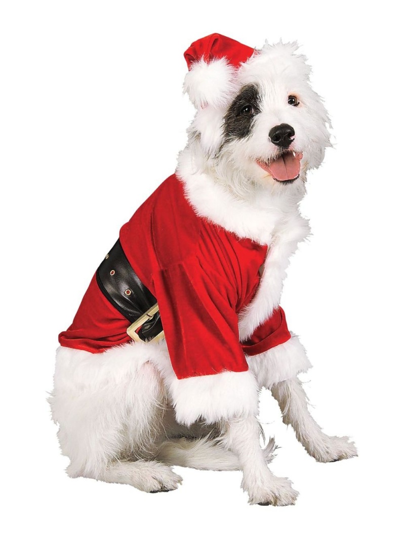 Christmas Pet Costume, Santa Claus, Medium