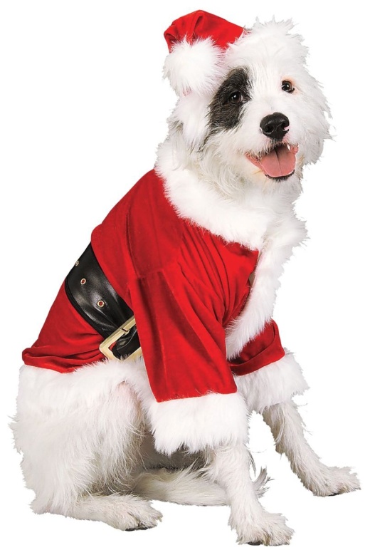 Christmas Pet Costume, Santa Claus, Small - Rubie's Costumes