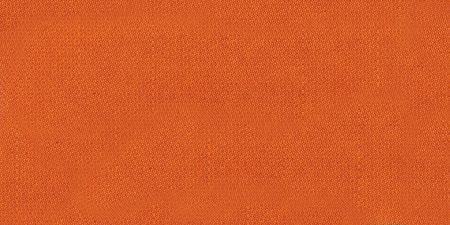 Jacquard Acid Dyes .5Oz Burnt Orange