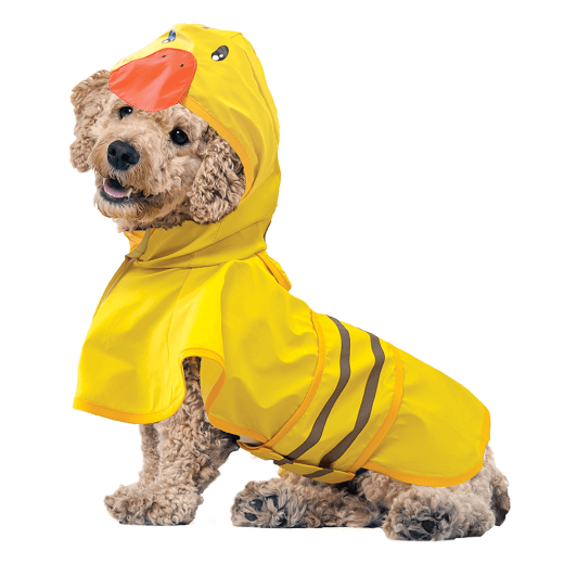 Fp30038 S Fashion Pet Just Ducky Raincoat s