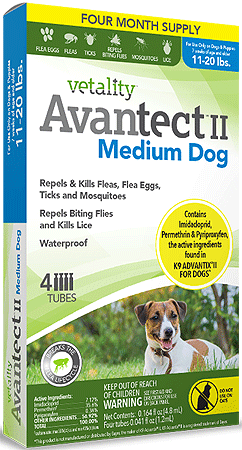 Vetality Advantect II M 1120 4Pk - Flea and Tick Protection for Dogs