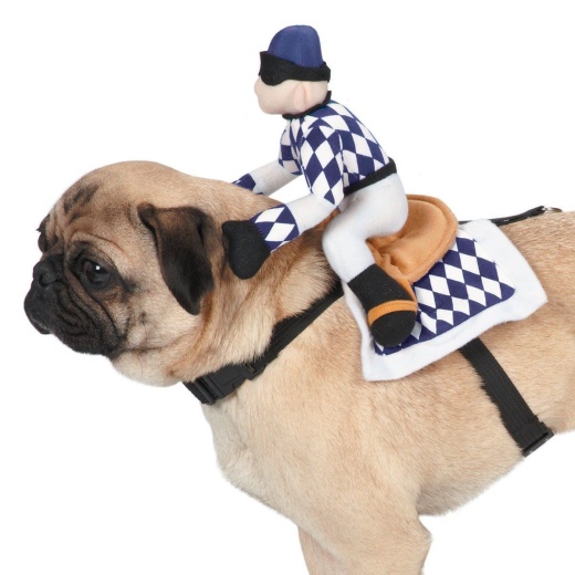 Zack & Zoey Show Jockey Saddle Costumes m